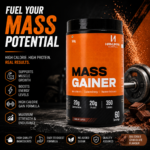 Mass Gainer - Chocolate 500 mg